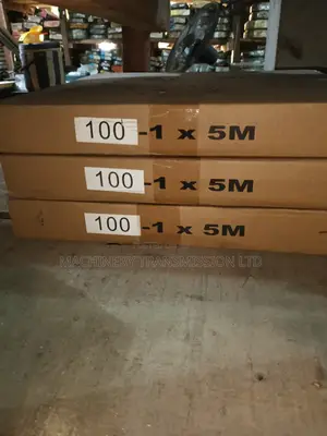 100-1×5m Chain Transmission Chain Heavy Duty