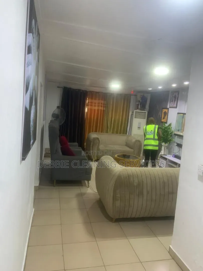 Debbie Cleaning Services6