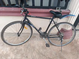 Bicycle 700