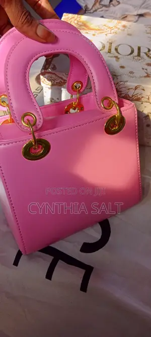Brand New Christian Dior Ladies Pink Mini Handbag