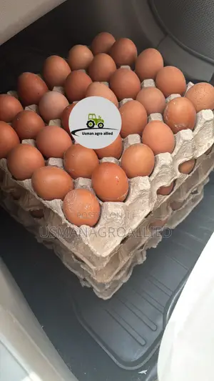1crate of Egg