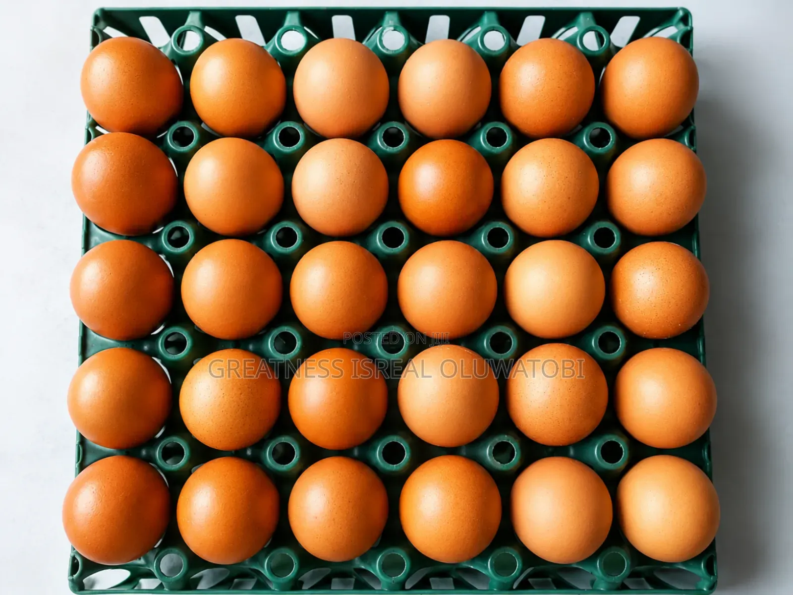 1 Crate of Egg