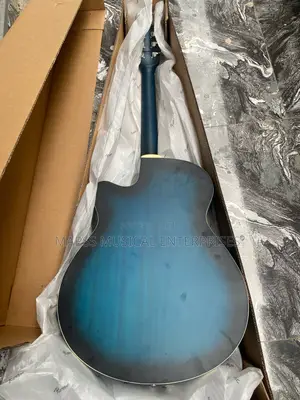 Rosen Semi Acoustic Guitar