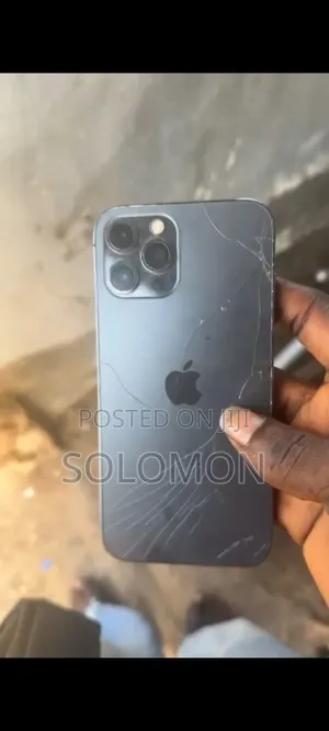 Apple iPhone 12 Pro Max 128 GB Gray