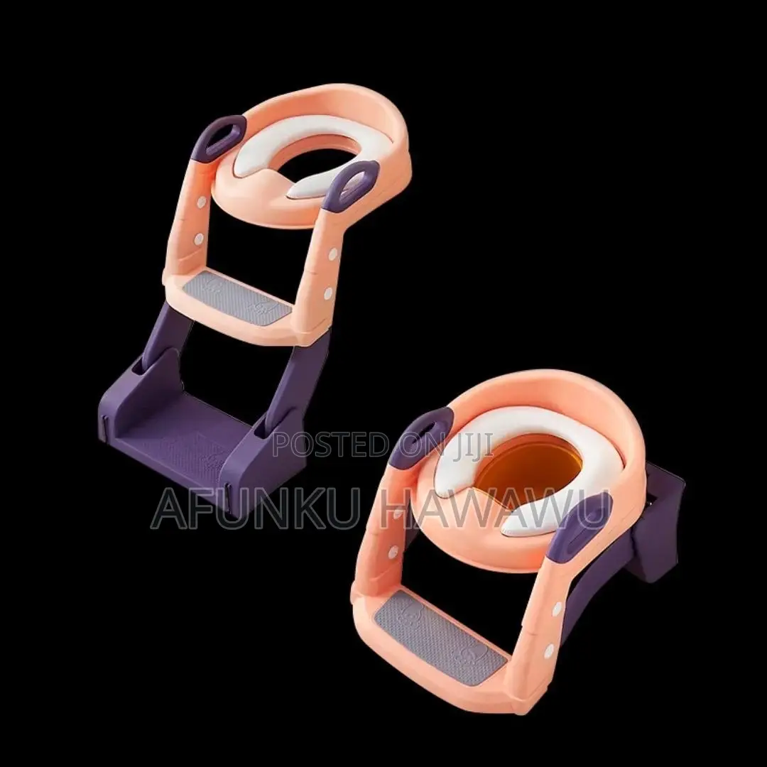 2 Way Kid Potty Ladder