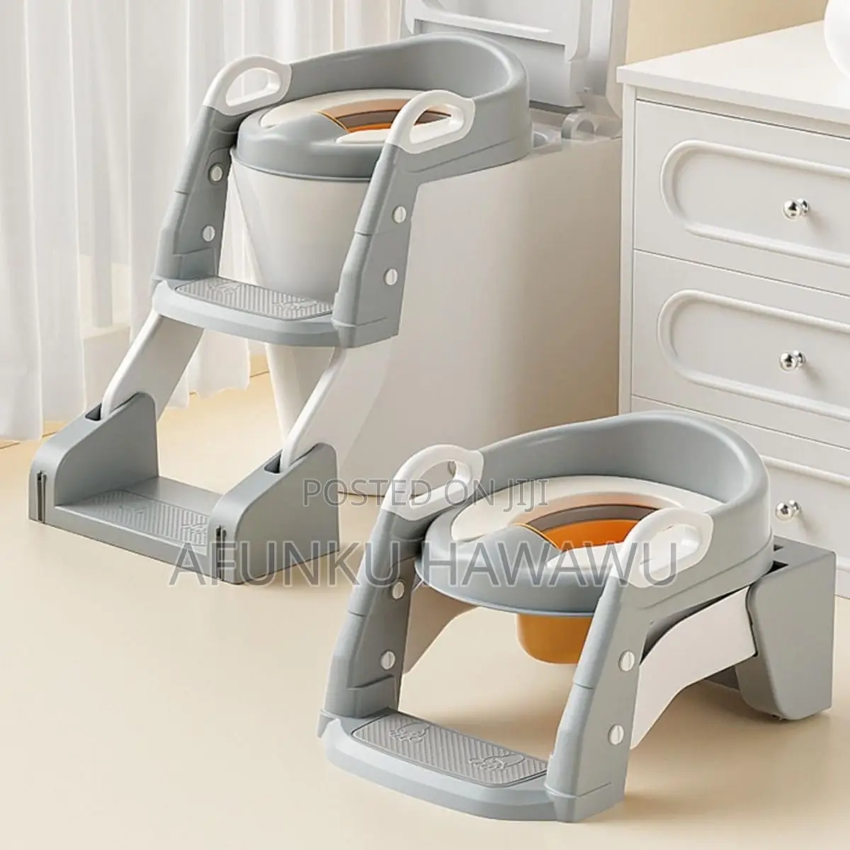 2 Way Kid Potty Ladder