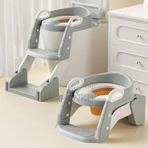 2 Way Kid Potty Ladder