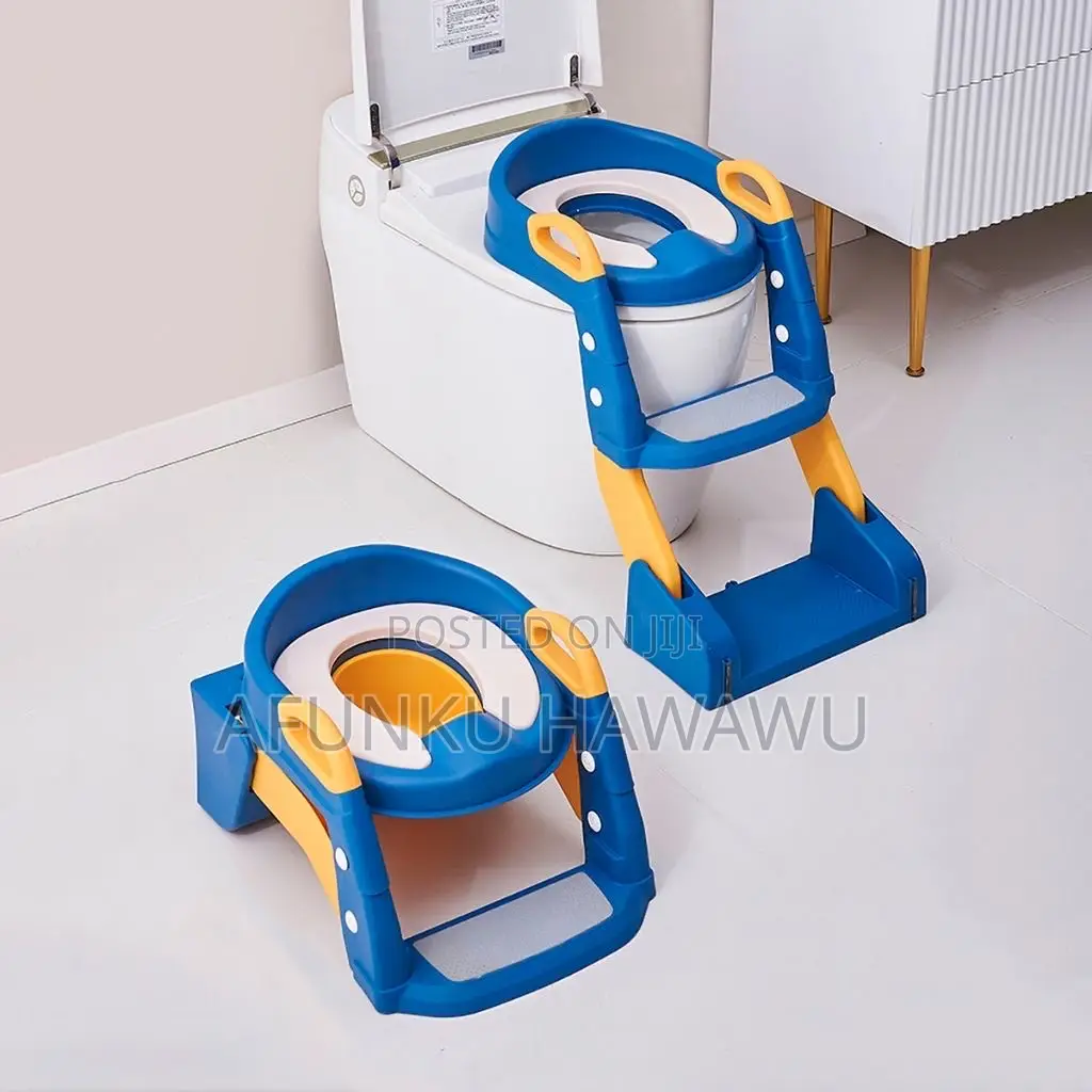 2 Way Kid Potty Ladder
