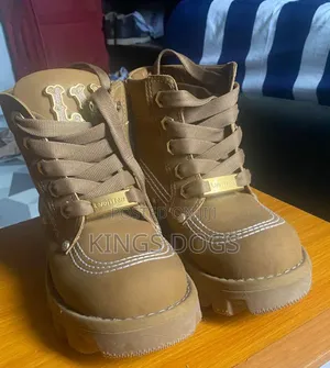 Clean Louis Vuitton Boot