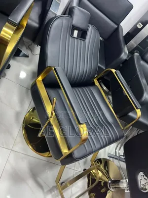 Exclusive Saloon Chair