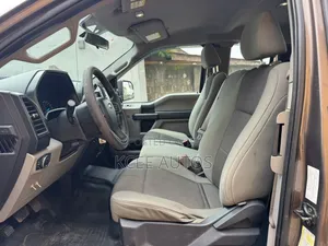 Ford F-150 2015 Gray