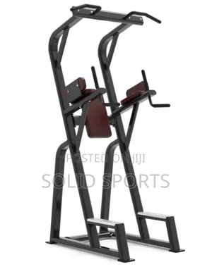 Knee Up/ Chin Up Machine