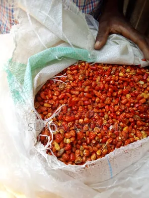 Dry Hot Pepper (Small and Big Type)
