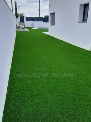 Premium 25mm Artificial Grass