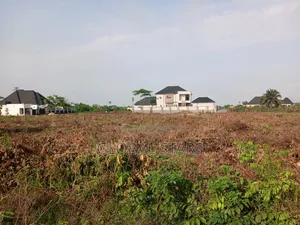 Plots Of Land Available At Premium Locations Along Auchi/Agbor Road