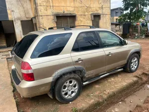 Acura MDX Touring Package 2004 Gold