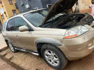 Acura MDX Touring Package 2004 Gold