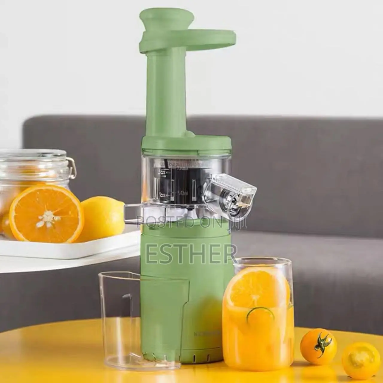 Mini Slow Juicer