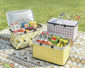 Foldable Insulated Lunch Bag