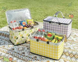 Foldable Insulated Lunch Bag