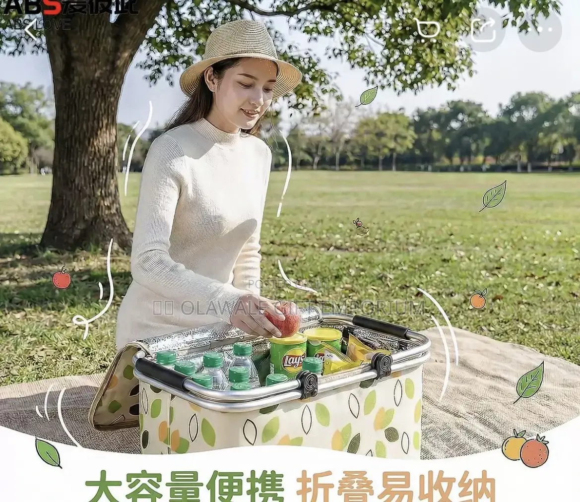 Foldable Insulated Lunch Bag