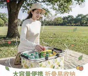 Foldable Insulated Lunch Bag