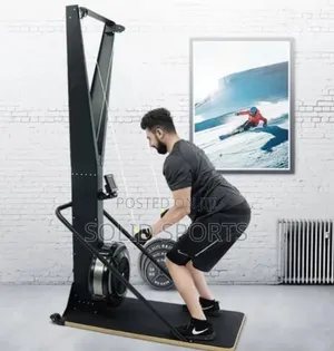 Commercial Ski Erg Machine