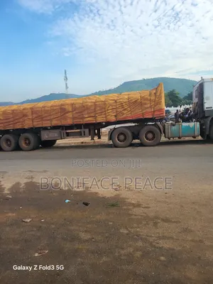 We and Bua Cement Distributor Dangote 3x