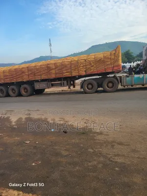 We Sell Dangote Cement and Bua
