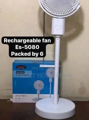 Rechagable Fan
