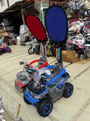Lovely Baby Push Ride-on Car for Kids