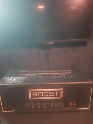 Roost Guitar Amp