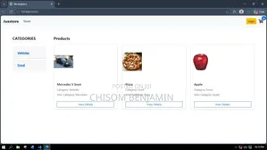 Web Developer