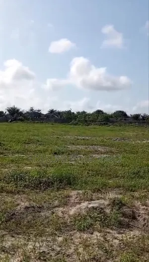 Land Facing Express