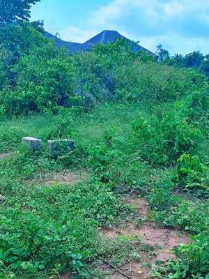 Full Plot of Land