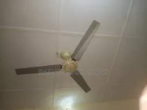 Orl 62 Gaint Ceiling Fan