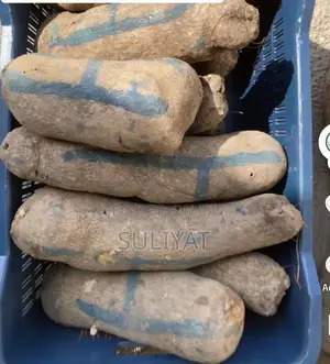 4 Tubers of Yam