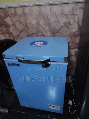 Scanfrost 100 Liters Freezer