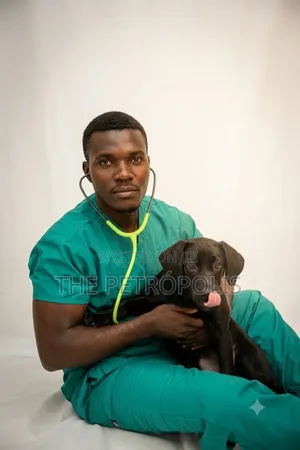 Dog Injection Service
Puppy Treatment
Cat Treatment
Pet Health Check