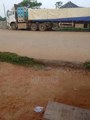 Dangote and Bua Cement Best Seller