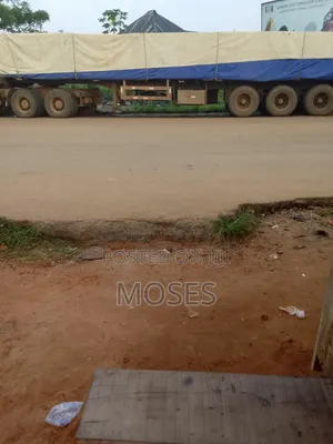 I Sale Dangote and Bua Cement