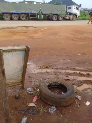 Word Wide Dangote and Bua Cement Supply