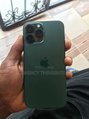 Apple iPhone 13 Pro Max 128 GB Green