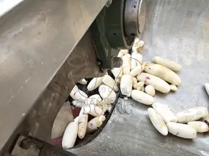 Automatic Cassava Peeling Machine Stainless Steel Tapioca Peeler