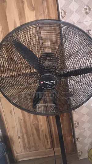 Standing Fan