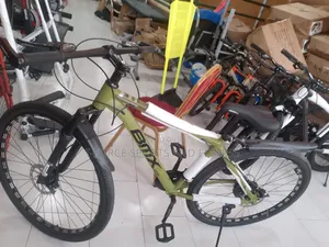 BMX Size 29 Cycling Bike