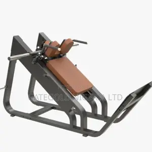 DFT-657 Commercial Hack Squat (Technofitness Brand)