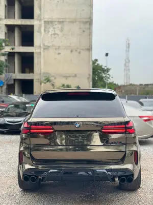 BMW X5 2011 Brown