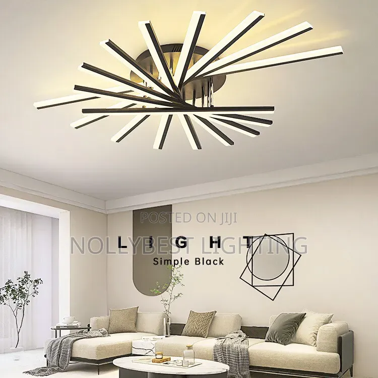 Chandler Ceiling Lights