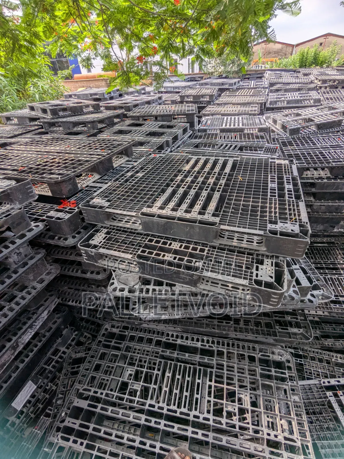 A World of Plastic Pallets